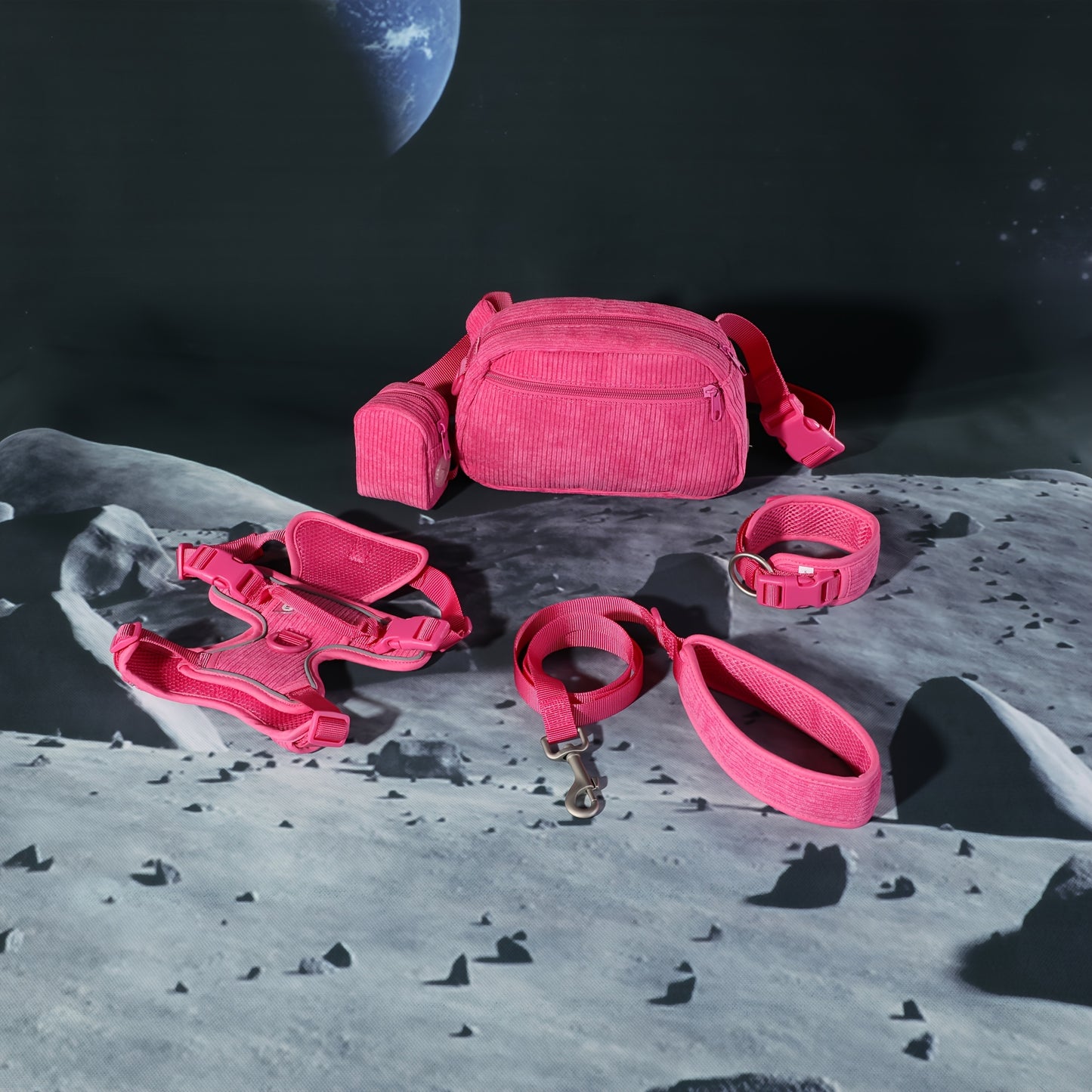 Set zgardă personalizată din catifea + accesorii câine