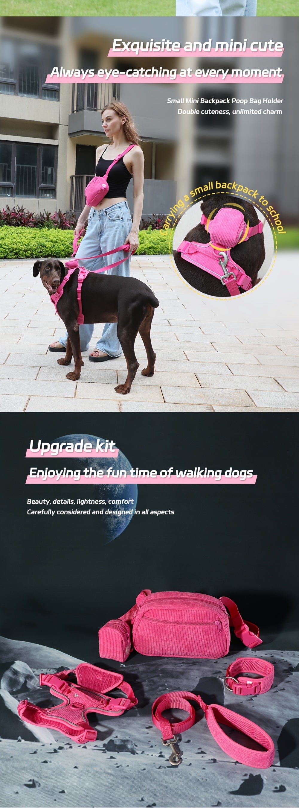 Set zgardă personalizată din catifea + accesorii câine